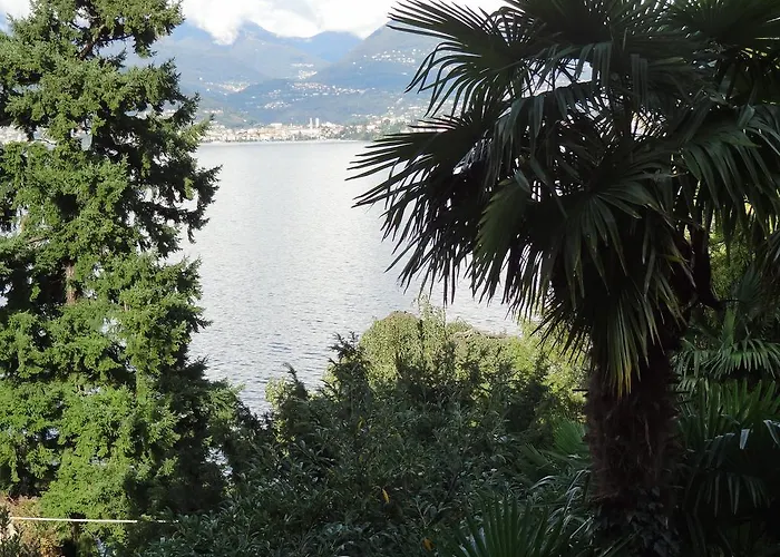 Vista Lago